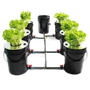 Hydroponic System, Growing System Kit 7 Bucket 5 Gallon Recirculating Deep Water Aquaculture, Hydroponic Growing Kit with Pump, Air Stone and Water Leveling Device for Indoor/Outdoor Leafy Vegetables