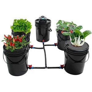 DWC Hydroponic System, 5 Gallon 5 Bucket Deep Water Culture DWC Hydroponic Growing System Kit Deep Water Culture Grow Bucket with Pump, Air Stones and Connections For Indoor/Outdoor Leafy Vegetables