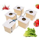 Silencear DWC Hydroponics Grow System, 2.91 Gallon 5 Buckets Deep Water Culture DWC Hydroponic Grow System Kit with 4W Pump, Clay Pebbles and Water Level Device, for Indoor/Outdoor