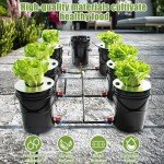 Hydroponic System, Growing System Kit 7 Bucket 5 Gallon Recirculating Deep Water Aquaculture, Hydroponic Growing Kit with Pump, Air Stone and Water Leveling Device for Indoor/Outdoor Leafy Vegetables