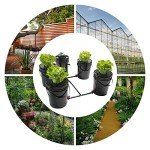 DWC Hydroponic System, 5 Gallon 5 Bucket Deep Water Culture DWC Hydroponic Growing System Kit Deep Water Culture Grow Bucket with Pump, Air Stones and Connections For Indoor/Outdoor Leafy Vegetables