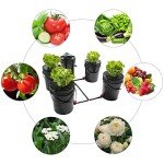 DWC Hydroponic System, 5 Gallon 5 Bucket Deep Water Culture DWC Hydroponic Growing System Kit Deep Water Culture Grow Bucket with Pump, Air Stones and Connections For Indoor/Outdoor Leafy Vegetables