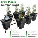 RDWC Hydroponics Grow System 6 Site + Reservoir, 7-Gallon Top Drip Recirculating Deep Water Culture Hydroponic Bucket System, Hydroponics Growing System Kit with Water Pump, Air Pump
