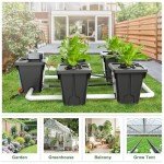 RDWC Hydroponics Grow System 4 Site + Reservoir, 7-Gallon Top Drip Recirculating Deep Water Culture Hydroponic Bucket System, Hydroponics Growing System Kit with Water Pump, Air Pump