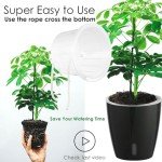 KvyusFlourish Self-Watering Pots for Indoor Plants, 6-Pack 6.7'' Self Watering Planter with Drainage Holes, Small African Violet Pots with Water Indicator, Clear Wick Pot, Black
