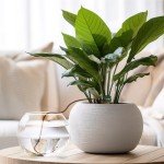 Blumat Classic Plant Watering Stakes - Self-Watering Insert for Indoor and Outdoor Plants - Automatic Slow Release Irrigation System for Potted Plants - Houseplant Care Device (3 Packs)