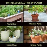 SmartiLiving Ollas (Set of 4) | 12oz Terracotta Plant Watering Globes - Self Watering Planter Insert - Automatic Plant Watering Devices | Vacation Watering Pots for Indoor & Outdoor Plants