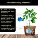 SmartiLiving Ollas (Set of 4) | 12oz Terracotta Plant Watering Globes - Self Watering Planter Insert - Automatic Plant Watering Devices | Vacation Watering Pots for Indoor & Outdoor Plants