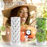 Nutraponics Hydroponics Tower - Hydroponics Growing System for Indoor Herbs, Fruits and Vegetables - Aeroponic Tower with Hydrating Pump, Timer, Adapter, Seeding Bed & Net Pots (Aqua 64)