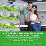 Nutraponics Hydroponics System for Herbs, Fruits, & Vegetables – Hydroponic Growing System with Automated LED Grow Lights – Vertical Farming for Indoor Tower Garden (72 Planters and 82 Seeding Sites)
