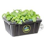 Oxyclone OX20SYS 20 Site, Compact Recirculating Cloning Propagation System, Heavy Yields