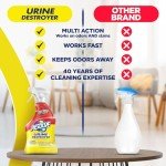 Resolve Urine Destroyer Spray – Pet Stain and Odor Remover, Carpet Cleaner Solution for Cat and Dog Urine, 32 Fl Oz