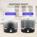 Elite Gourmet EFD319 Food Dehydrator, 5 BPA-Free 11.4" Trays Adjustable Temperature Controls, Jerky, Herbs, Fruit, Veggies, Dried Snacks, Black