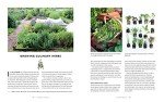 Woman's Garden: Beautiful Plants & Creative Projects