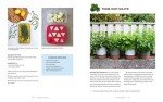Woman's Garden: Beautiful Plants & Creative Projects