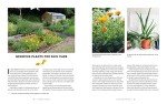 Woman's Garden: Beautiful Plants & Creative Projects
