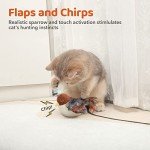 Rechargeable Flapping Bird Cat Toy with Chirp