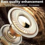 NE20 Translation Earbuds with LCD Touch Screen