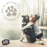 Leave-In Dog Conditioner and Detangler Spray - 16oz