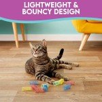 Colorful Bouncy Coils Cat Toy - 10 Pack