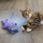 Purr Pillow - Calming Touch-Activated Cat Toy