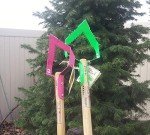 Lime Green Long Garden Tool (5' - 6')