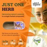Organic Chicory Root Capsules for Gut Health - 90 Count