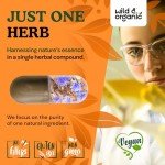 Organic Chicory Root Capsules for Digestive Support