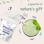 Organic Chicory Root Inulin Powder - 2 lbs