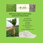 Organic Chicory Root Inulin Powder - 8oz