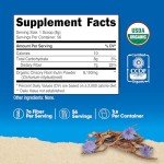 Organic Inulin Powder - 1LB Chicory Fiber Supplement