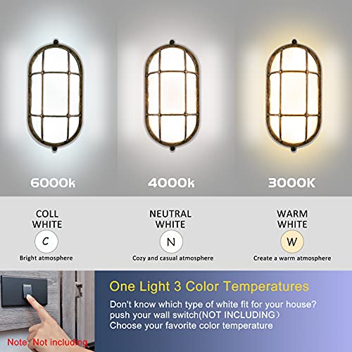 Antique Copper Oval LED Ceiling Light for Saunas