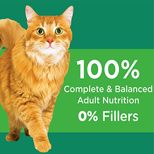 IAMS PROACTIVE HEALTH HEALTHY SENIOR Dry Mature Cat Food with Chicken Cat Kibble, 3.5 lb. Bag