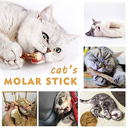 AILUKI 29 PCS Cat Toys Kitten Toys Assortments, Variety Catnip Toy Set Including 2 Way Tunnel,Cat Feather Teaser,Catnip Fish,Mice,Colorful Balls and Bells for Cat,Puppy,Kitty