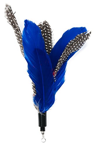EcoCity Cat Wand Feather Refills for Interactive Cat and Kitten Wands Include 6 Pieces Replacement Feathers and 1 Soft Furry Tail (7 Pieces)