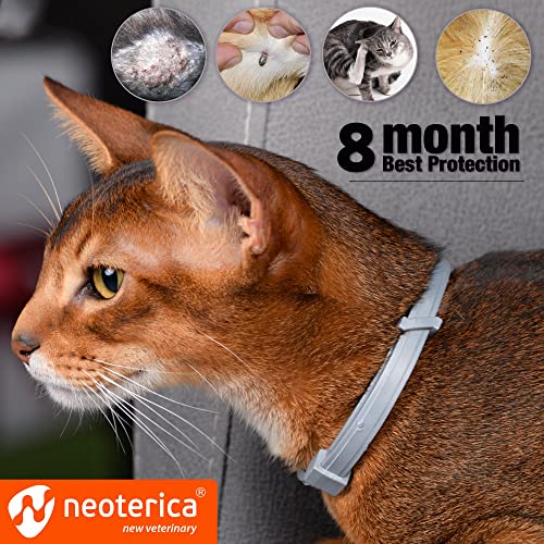 Flea & Worm Collar for Cats - Flea Control and Tick Treatment - Better than Oral Flea Control - Cat Dewormer - Cat Worm Treatment for Tapeworms