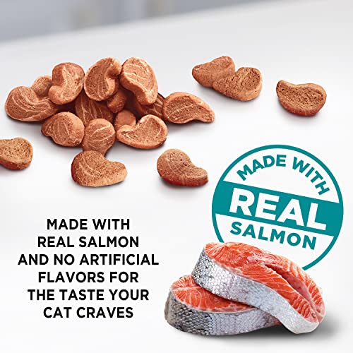 Meow Mix Irresistibles Soft Cat Treats, Salmon, 17 Ounces (Pack of 4)