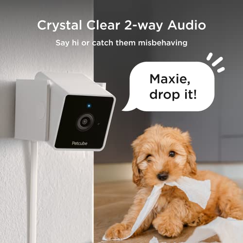 [New 2020] Petcube Cam Pet Monitoring Camera with Built-in Vet Chat for Cats & Dogs, Security Camera with 1080p HD Video, Night Vision, Two-Way Audio, Magnet Mounting for Entire Home Surveillance