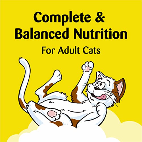 TEMPTATIONS Classic Crunchy and Soft Cat Treats Blissful Catnip Flavor, 16 Oz. Tub