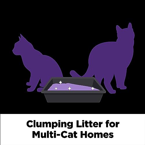 Arm & Hammer Platinum Slide Easy Clean-Up Clumping Cat Litter, Multi-Cat, 18 lbs (033200975168)