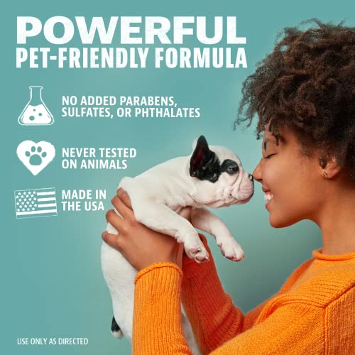 ANGRY ORANGE Ready-to-Use Citrus Pet Odor Eliminator Pet Spray - Urine Remover and Carpet Deodorizer for Dogs and Cats (1 Gallon)
