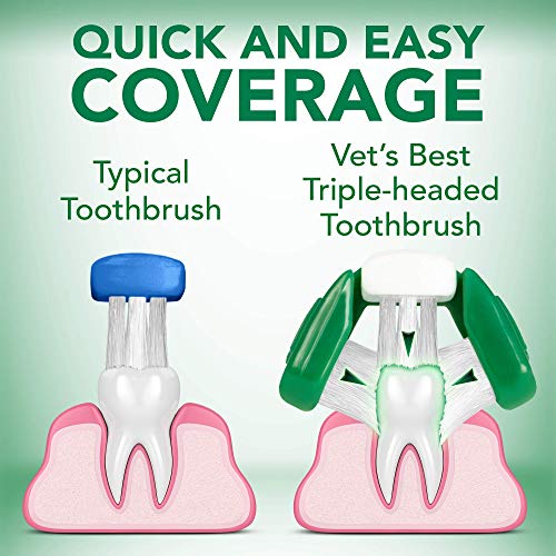 Vets Best Dog Toothbrush and Enzymatic Toothpaste Set | Teeth Cleaning and Fresh Breath Kit with Dental Care Guide| Vet Formulated