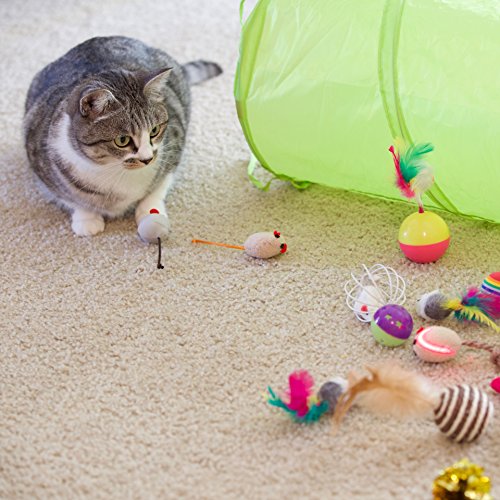 Youngever 24 Cat Toy Set - Interactive Kitten Assortment
