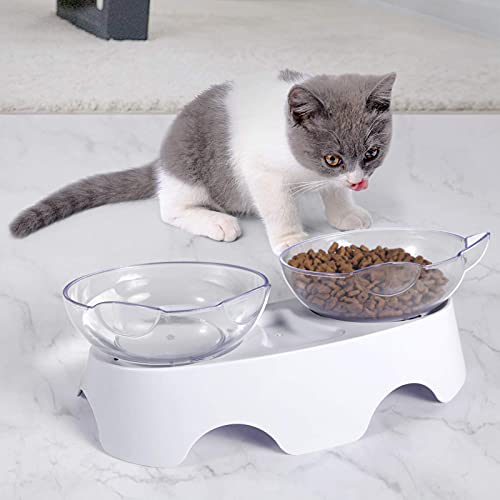 Elevated Tilted Cat Food Bowls for Indoor Cats