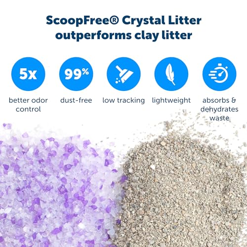PetSafe ScoopFree Self-Cleaning Cat Litter Box Tray Refills with Lavender Non-Clumping Crystals - Pack of 3