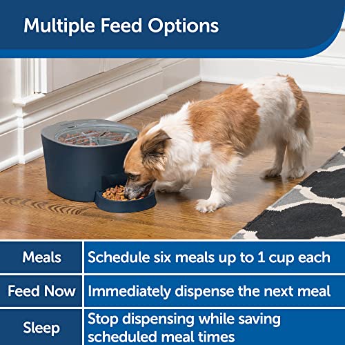PetSafe Cat and Dog Food Dispenser - Automatic 6 Meal or Digital 2 Meal Pet Feeder - Great for Cats or Small Dogs