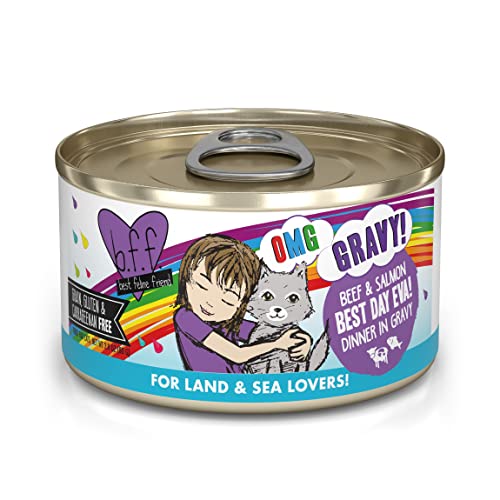 Weruva B.F.F. Omg - Best Feline Friend Oh My Gravy! Grain-Free Wet Cat Food Cans, Best Day Eva! Beef & Salmon, 2.8-Ounce Can (Pack of 12)