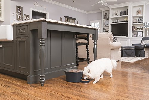 PetSafe Cat and Dog Food Dispenser - Automatic 6 Meal or Digital 2 Meal Pet Feeder - Great for Cats or Small Dogs