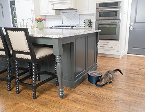 PetSafe Cat and Dog Food Dispenser - Automatic 6 Meal or Digital 2 Meal Pet Feeder - Great for Cats or Small Dogs