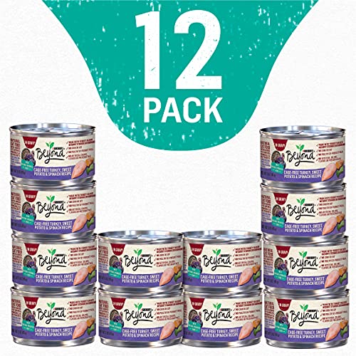 Purina Beyond Grain Free Gravy Wet Cat Food, Grain Free Turkey Recipe - (12) 3 oz. Cans